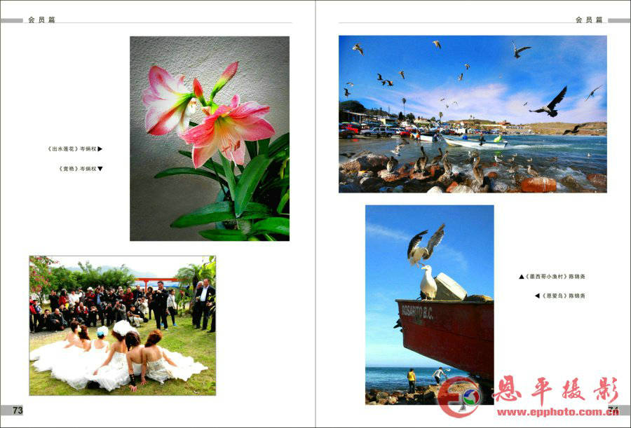 《恩平摄影》第四期(图39)