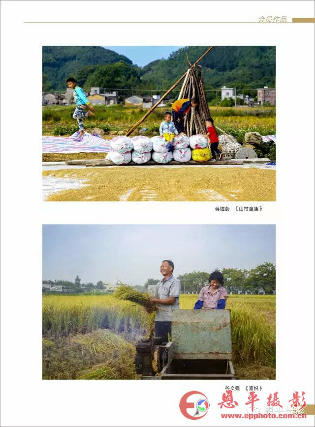 《恩平摄影》第六期之三：会员作品展示！(图12)