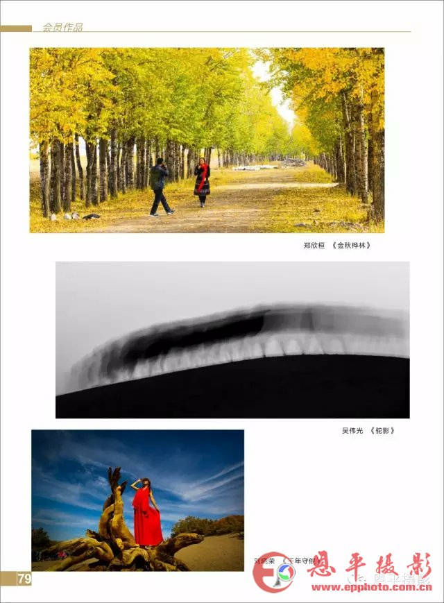 《恩平摄影》第六期之三：会员作品展示！(图38)