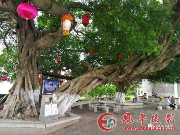寻梦故里·三水古韵(图51)