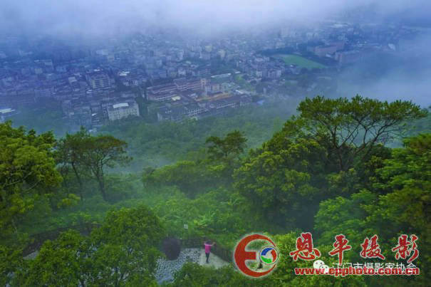 江门市摄影家协会召开第八届第三次全体理事工作会议(图13) 江门市摄影家协会召开第八届第三次全体理事工作会议(图13)