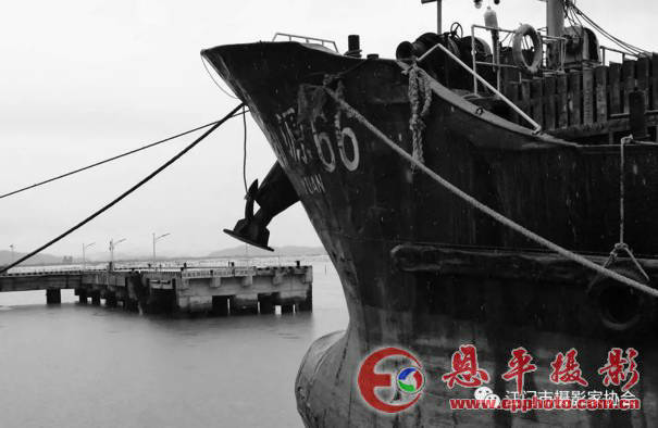 江门市摄影家协会召开第八届第三次全体理事工作会议(图11) 江门市摄影家协会召开第八届第三次全体理事工作会议(图11)