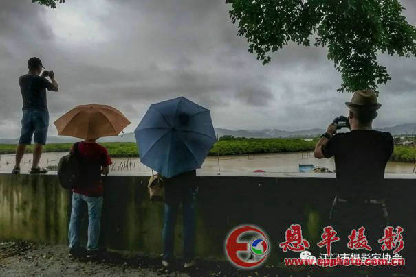 江门市摄影家协会召开第八届第三次全体理事工作会议(图8) 江门市摄影家协会召开第八届第三次全体理事工作会议(图8)