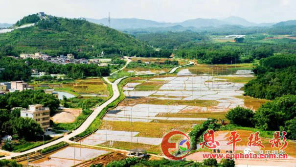 恩平良西的旅游要起飞了,只因为这里实在太美啦!(图50) 恩平良西的旅游要起飞了,只因为这里实在太美啦!(图50)