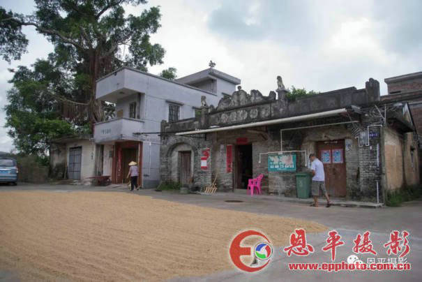 恩平良西的旅游要起飞了,只因为这里实在太美啦!(图42) 恩平良西的旅游要起飞了,只因为这里实在太美啦!(图42)
