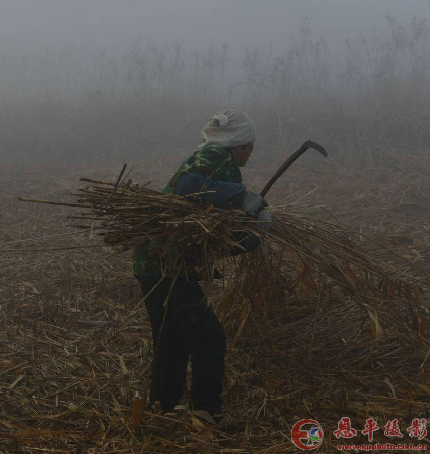 不一样的生活方式(图3) 不一样的生活方式(图3)