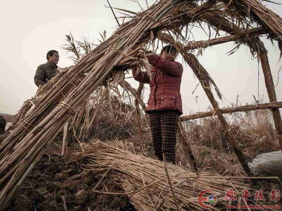 不一样的生活方式(图5) 不一样的生活方式(图5)
