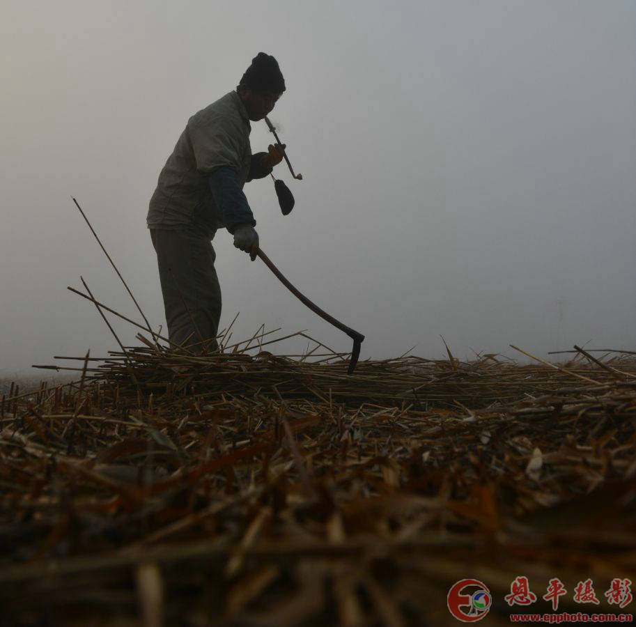 不一样的生活方式(图4) 不一样的生活方式(图4)