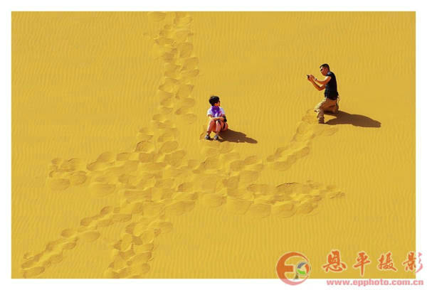 秋天的童话——内蒙古额济纳旗金秋胡杨摄影之旅(图13) 秋天的童话——内蒙古额济纳旗金秋胡杨摄影之旅(图13)