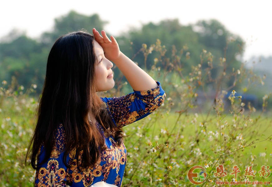 人约黄昏后(图4)