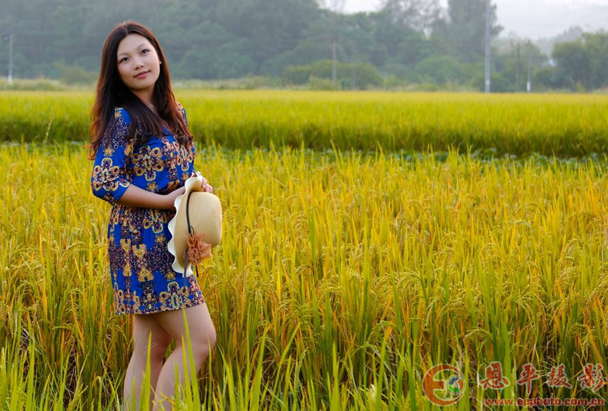 人约黄昏后(图15)