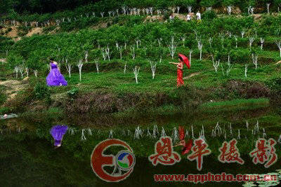 百兽园活动(图5)