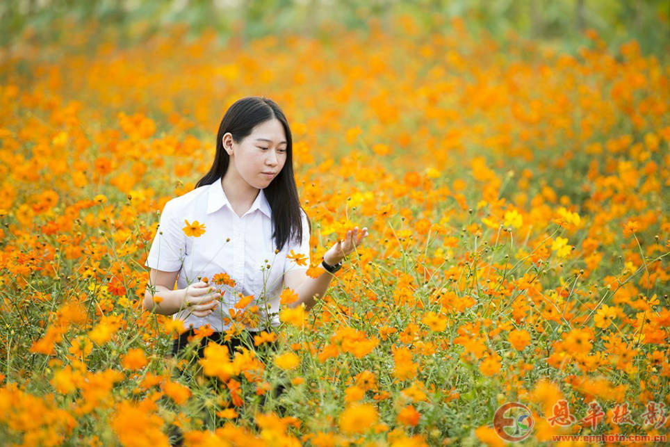 万蕊花畔(图13)