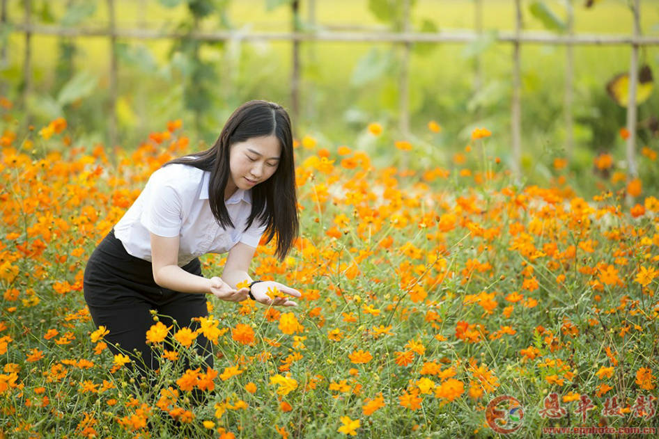 万蕊花畔(图12)