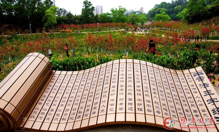 庆祝人民政协70周年书画摄影展览开幕式成功举办(图19) 庆祝人民政协70周年书画摄影展览开幕式成功举办(图19)